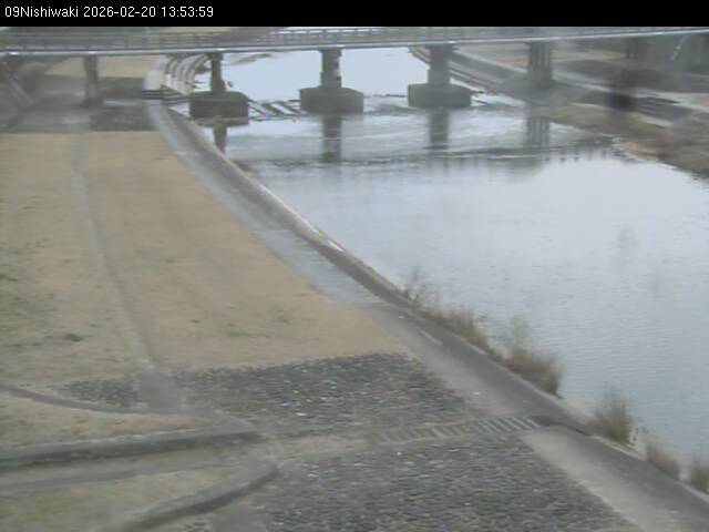 最新監視カメラ画像