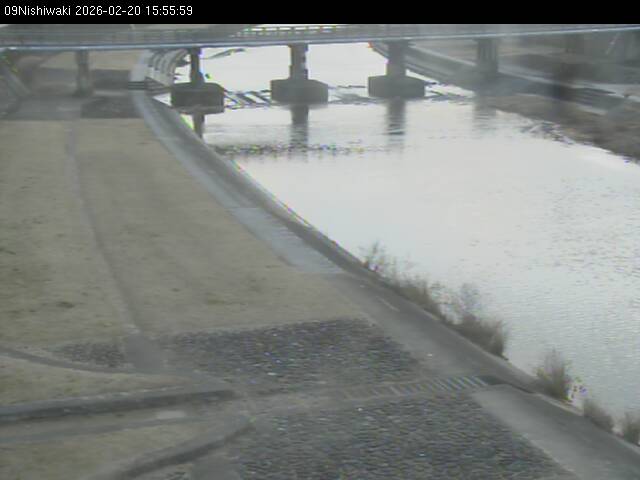 最新監視カメラ画像