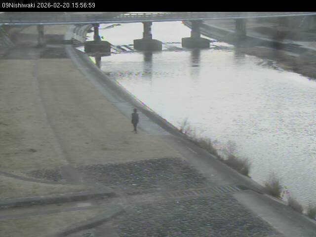 最新監視カメラ画像