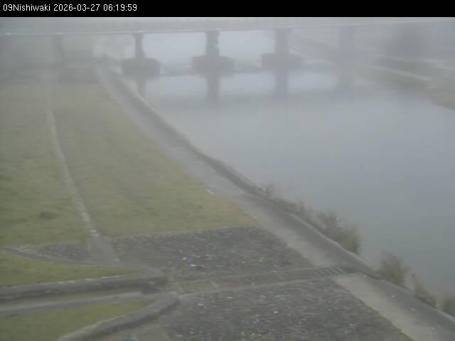 最新監視カメラ画像