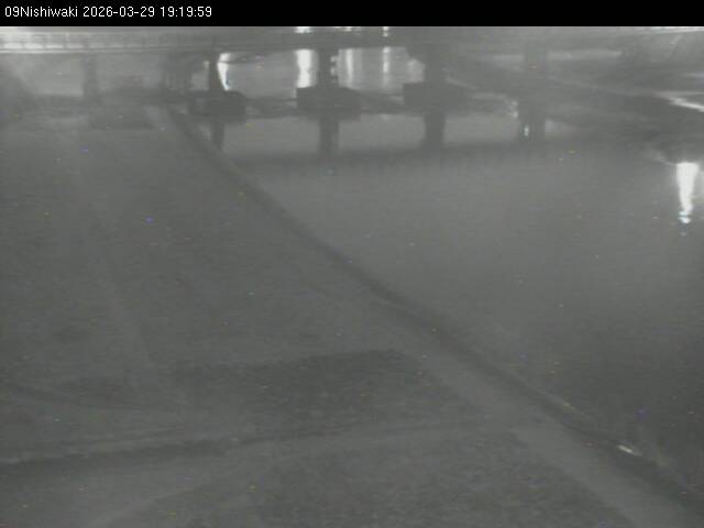 最新監視カメラ画像