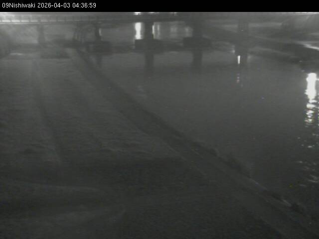 最新監視カメラ画像