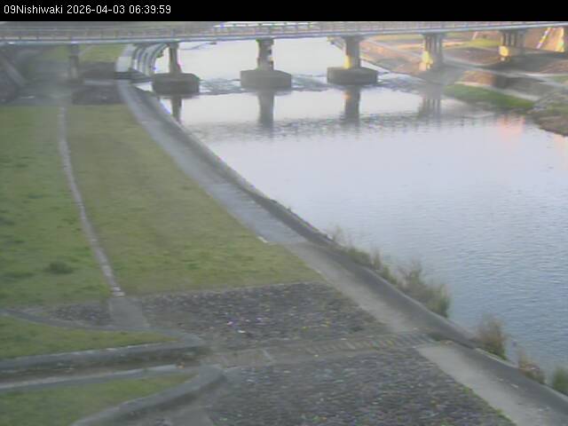 最新監視カメラ画像