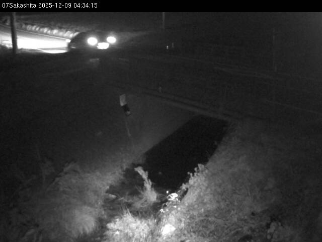 最新監視カメラ画像