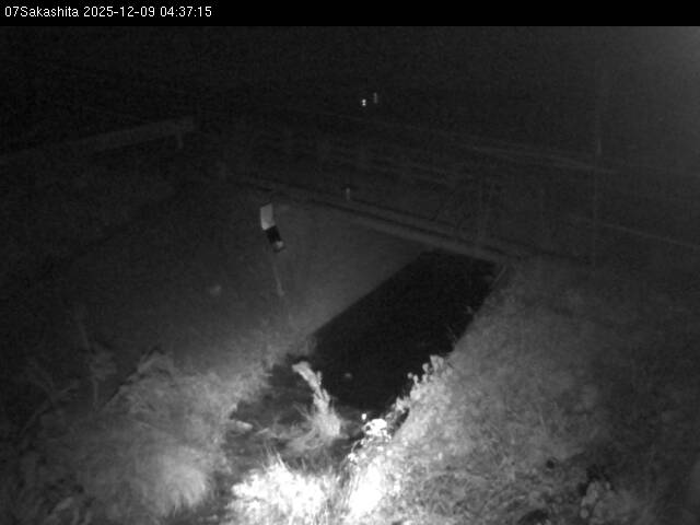 最新監視カメラ画像