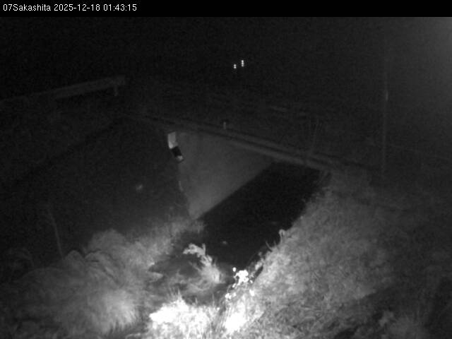 最新監視カメラ画像