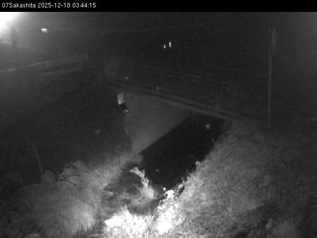 最新監視カメラ画像