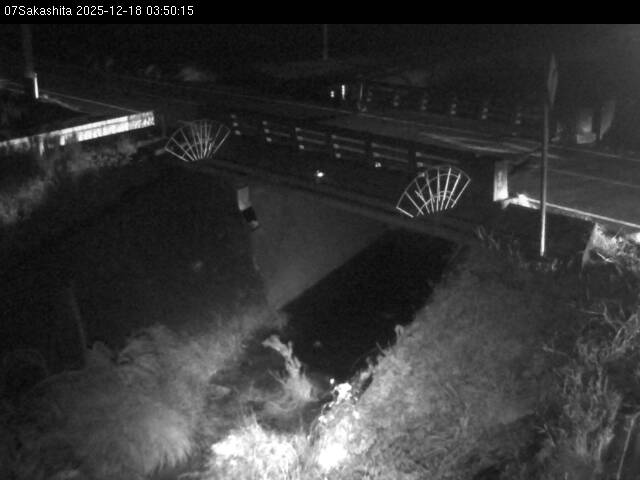 最新監視カメラ画像