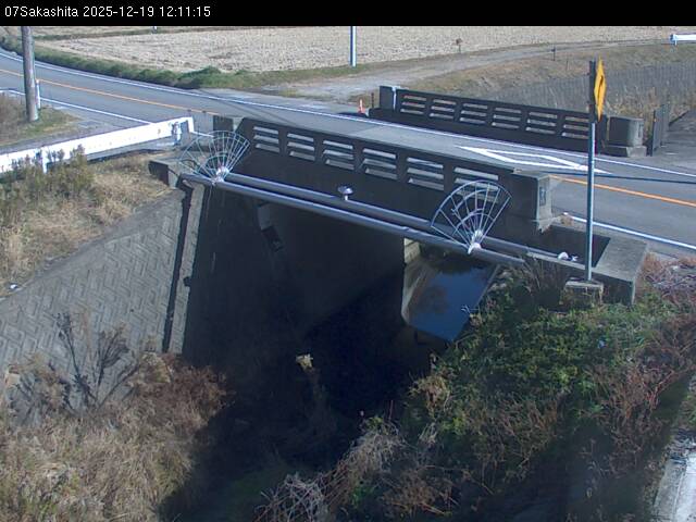 最新監視カメラ画像