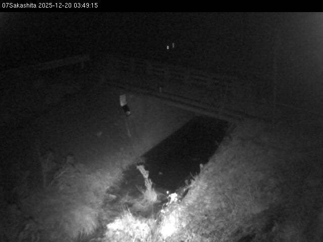 最新監視カメラ画像