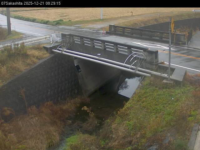 最新監視カメラ画像