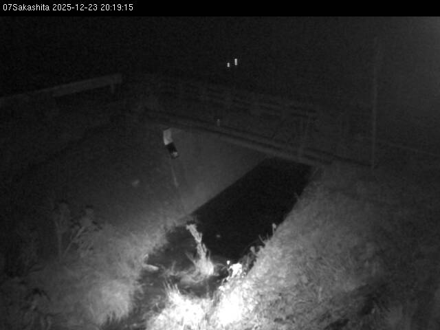 最新監視カメラ画像