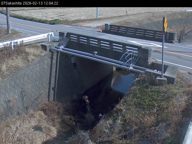 最新監視カメラ画像