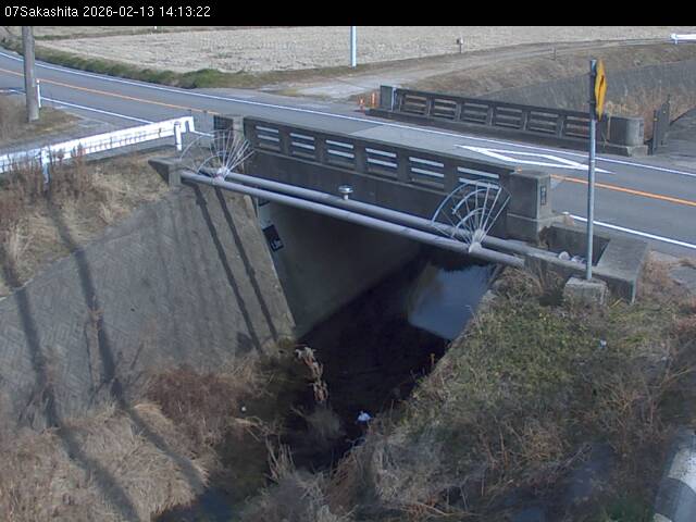 最新監視カメラ画像