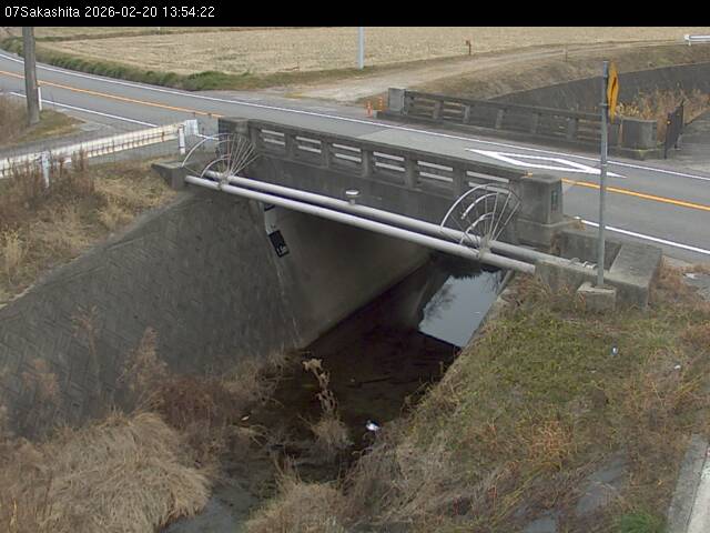 最新監視カメラ画像