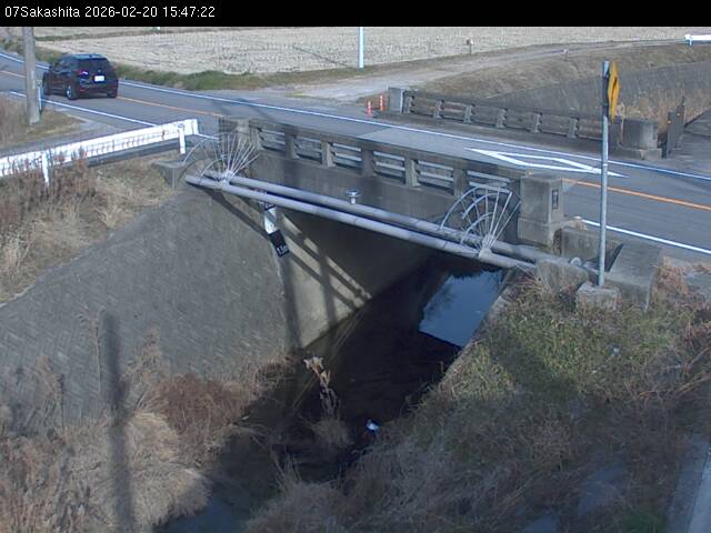 最新監視カメラ画像