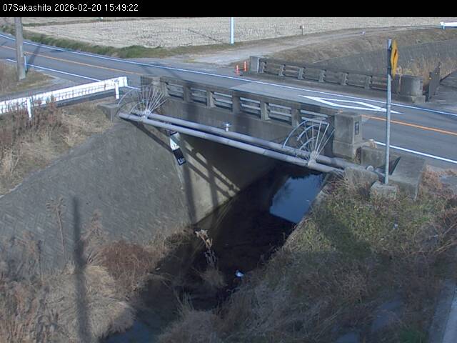 最新監視カメラ画像