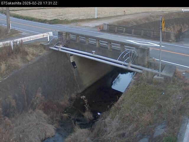 最新監視カメラ画像