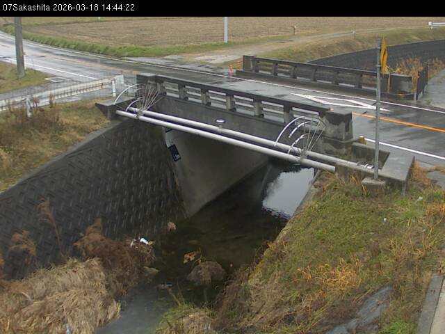 最新監視カメラ画像