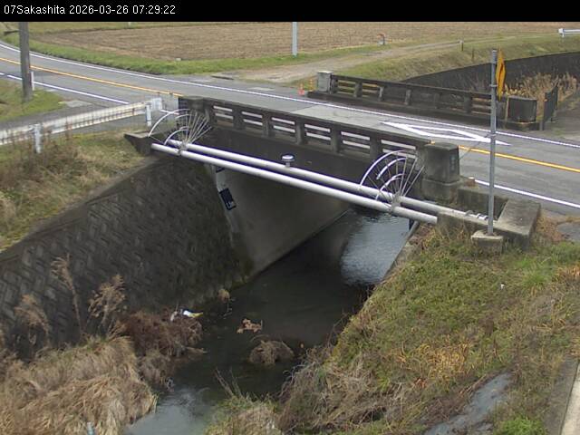 最新監視カメラ画像