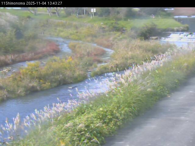 最新監視カメラ画像