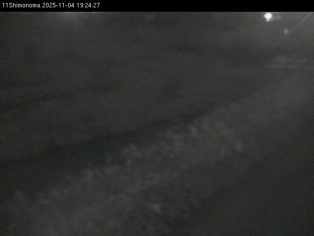 最新監視カメラ画像