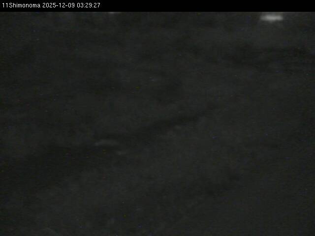 最新監視カメラ画像