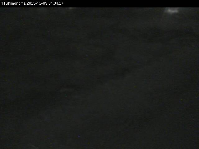 最新監視カメラ画像