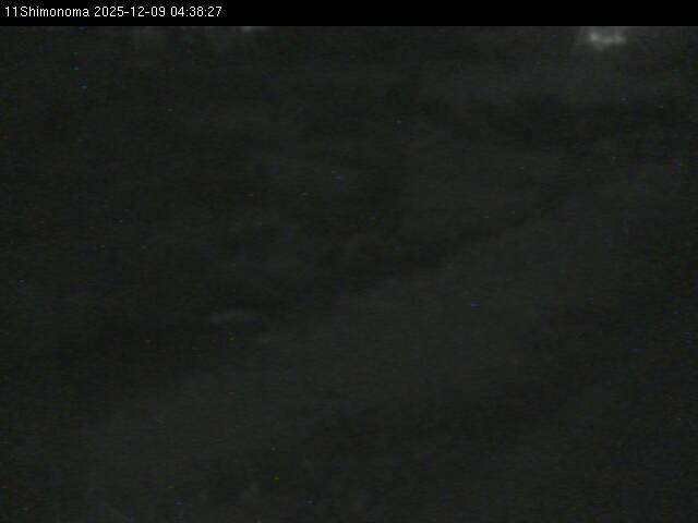 最新監視カメラ画像