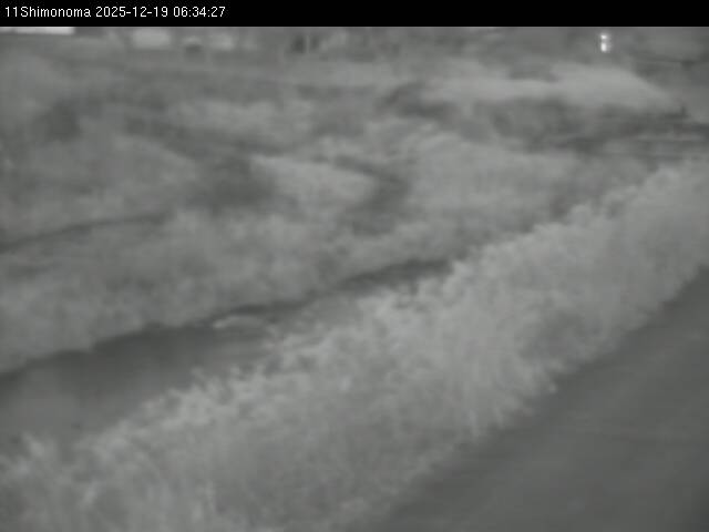 最新監視カメラ画像