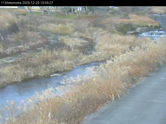 最新監視カメラ画像