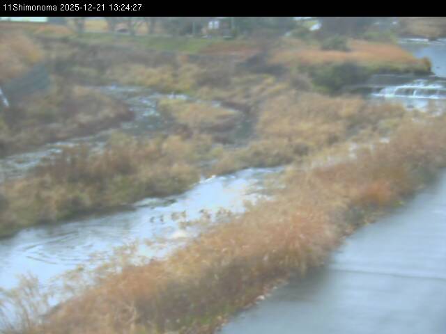 最新監視カメラ画像