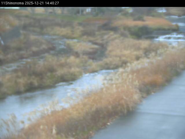 最新監視カメラ画像