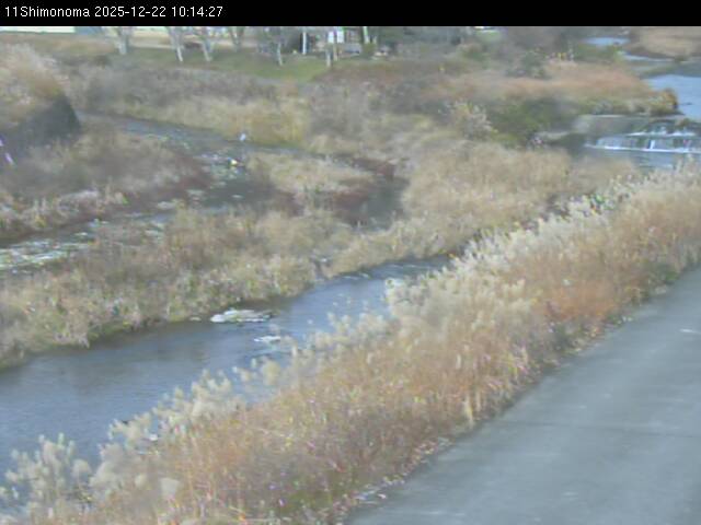 最新監視カメラ画像