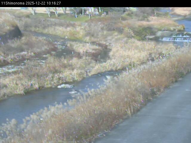 最新監視カメラ画像