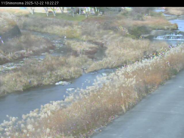 最新監視カメラ画像