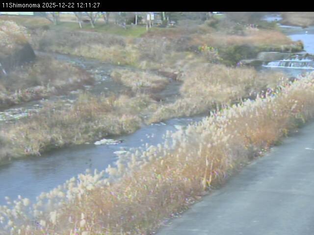 最新監視カメラ画像