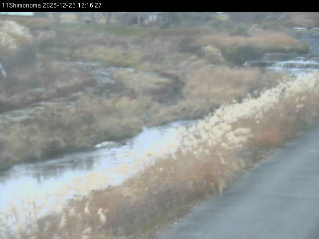 最新監視カメラ画像