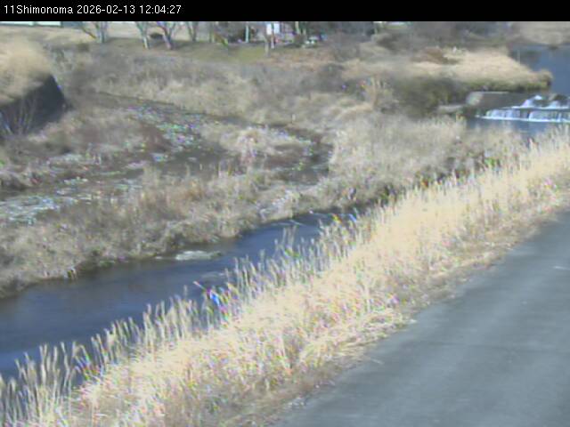 最新監視カメラ画像