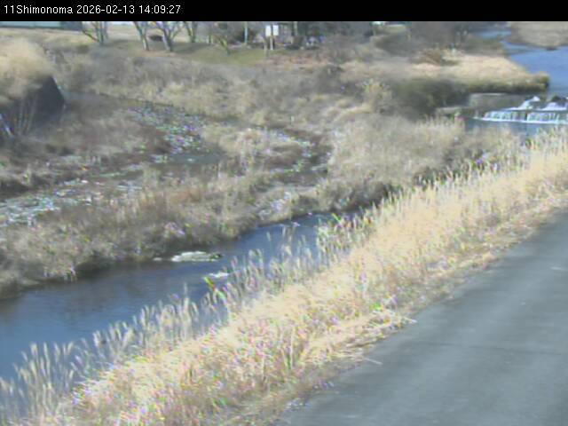 最新監視カメラ画像