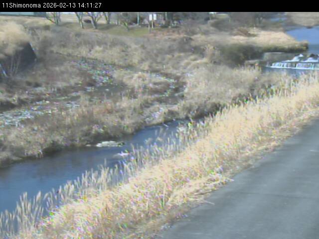 最新監視カメラ画像