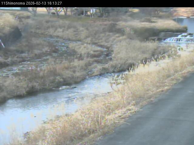 最新監視カメラ画像