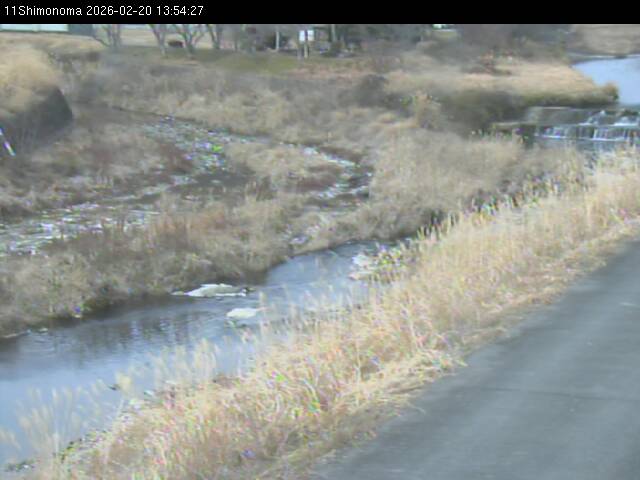 最新監視カメラ画像