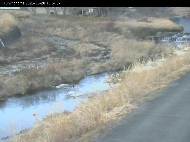 最新監視カメラ画像