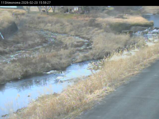 最新監視カメラ画像