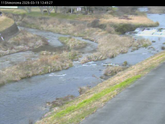 最新監視カメラ画像