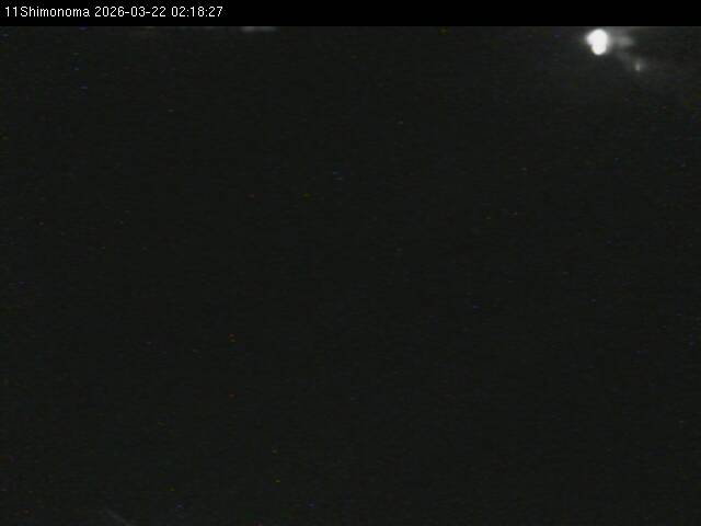 最新監視カメラ画像