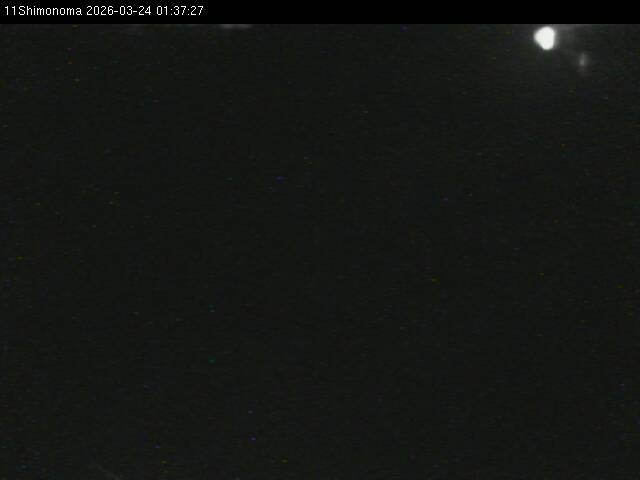 最新監視カメラ画像