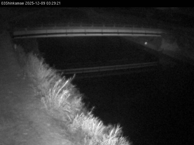 最新監視カメラ画像