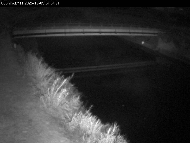 最新監視カメラ画像